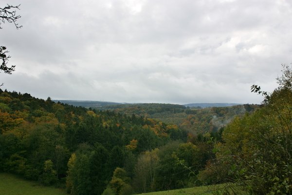 x8935.jpg